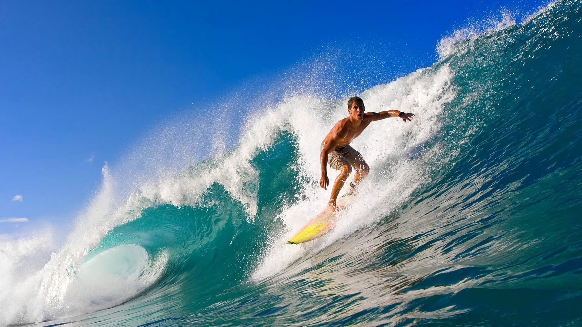 荷兰国家队准备迎战欧洲杯预选赛，荷兰国家队 欧洲杯