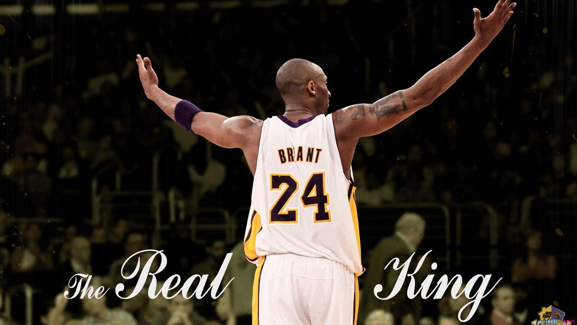 黄蜂球队球队整体实力稳步增长,黄蜂队有哪些球员